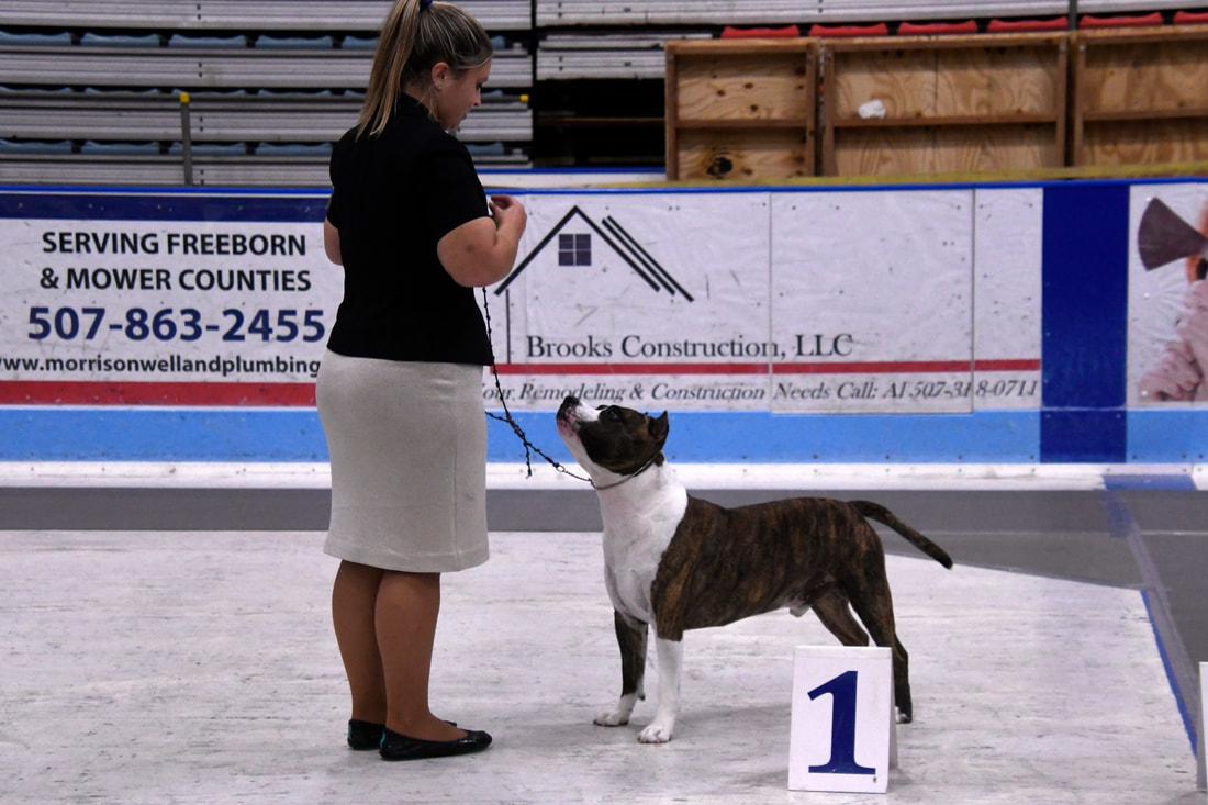 Kennel Club of Freeborn County - Home