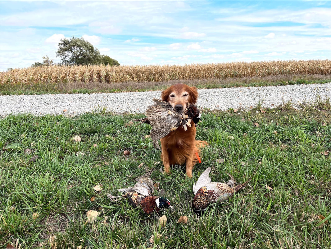 Kennel Club of Freeborn County - Home